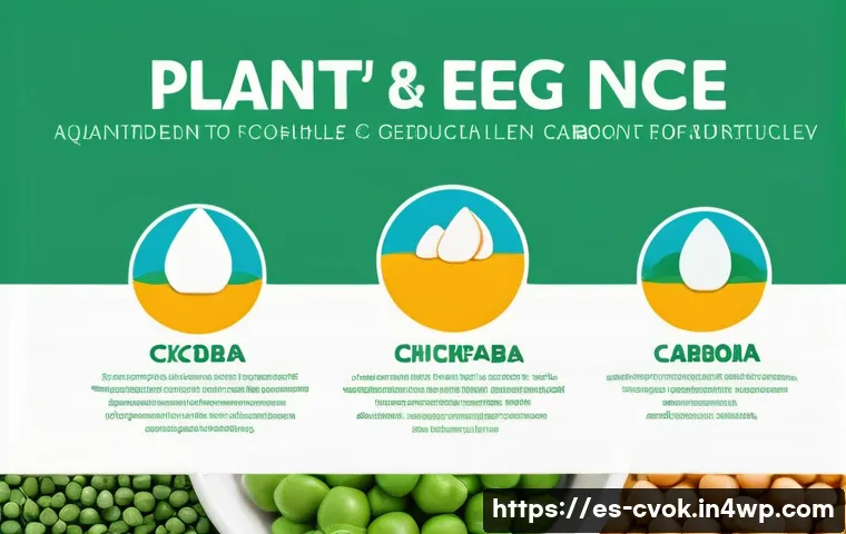 7 formas creativas para sustituir el huevo en recetas con proteínas alternativas 4 대체 단백질 요리로 만드는 달걀 대체재 활용법 관련 이미지 2